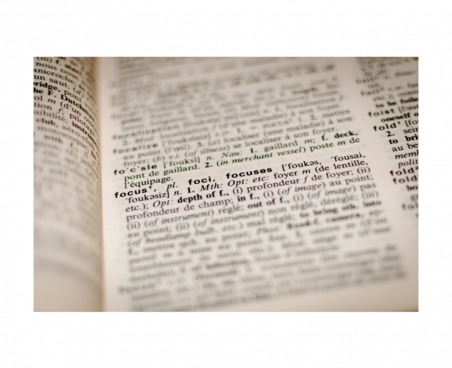 November 2010 sat essay